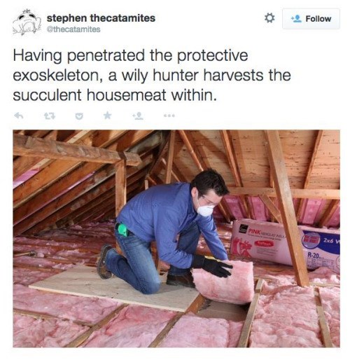 funny-twitter-pic-house-meat
