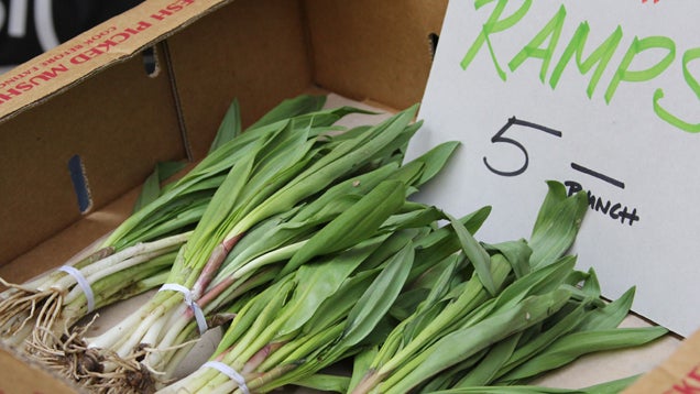 What's In Season This Spring: The Freshest Produce and How to Use It