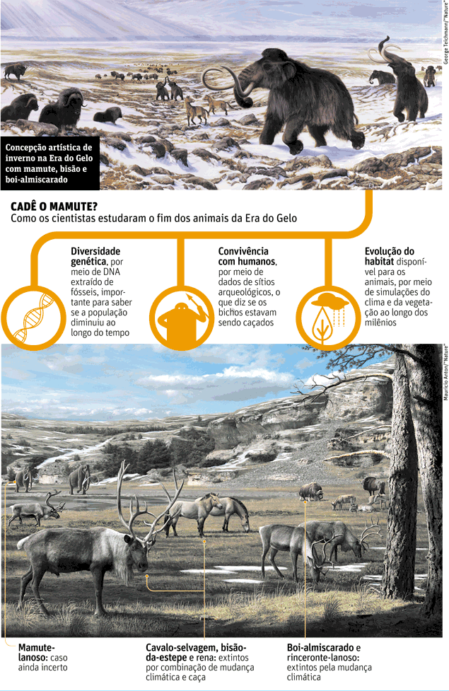 Como os cientistas estudaram o fim dos animais da Era do Gelo