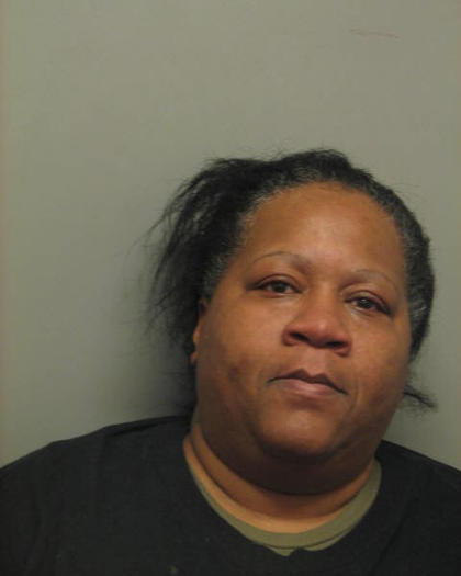 Woman charged after dog dies outside in the cold - Chicago Tribune