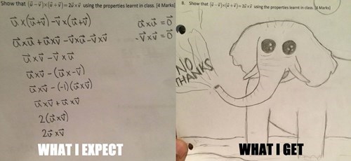 funny-school-test-fail-answer-doodle