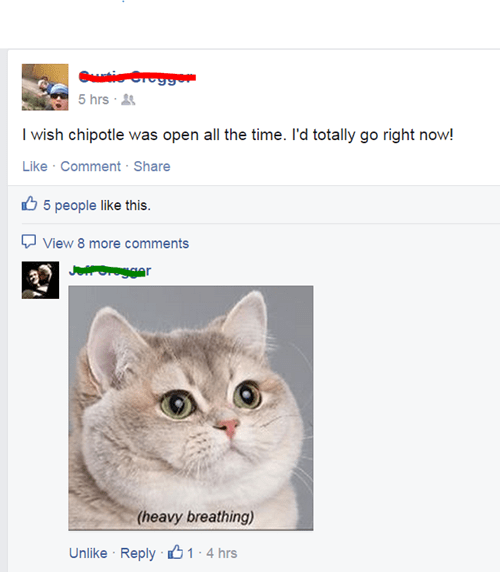 reaction image,heavy breathing,chipotle,food,Cats,failbook,g rated
