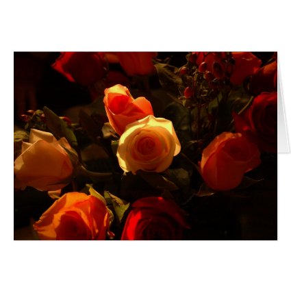 Roses I - Orange, Red and Gold Glory Cards