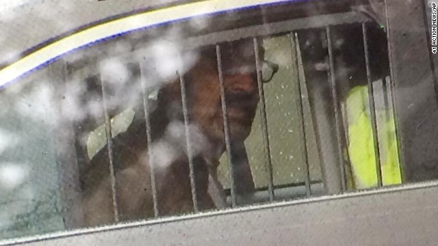 Frazier Glenn Miller, a 73-year-old Missouri man with a long history of spouting anti-Semitic rhetoric, is seen in a police car Sunday, April 13. He is suspected of fatally shooting three people: a boy and his grandfather outside a Jewish community center in Overland Park, Kansas, and a woman at a nearby assisted-living facility.