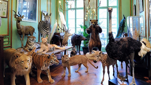 Stuffing all creatures great and small since 1831, the exotic Paris taxidermist Deyrolle is owned by a prince -- Louis Albert de Broglie.