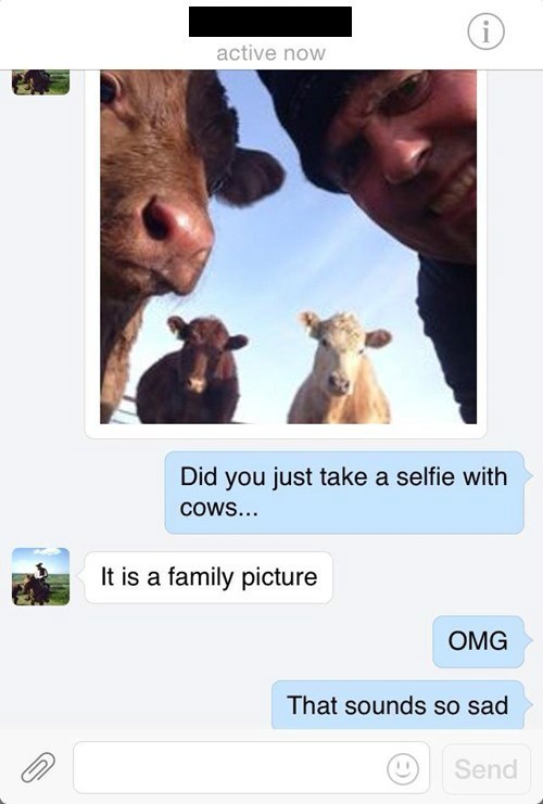 selfie,farm,cows,failbook,g rated