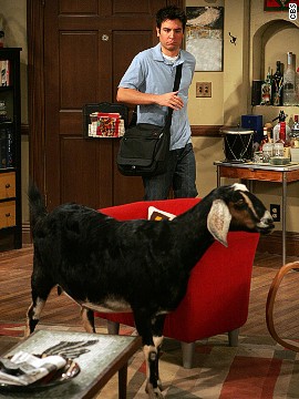 One day, Ted walked into his apartment and found a goat. The explanation of this was held for several episodes, until we learned that Lily rescued the goat from a farmer in her classroom.