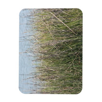 Reeds grass and water rectangle magnets