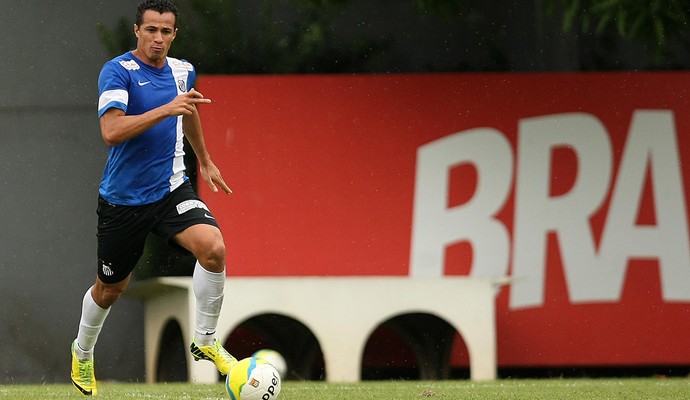 Leandro Damião Santos (Foto: Lucas Baptista/Divulgação Santos FC)