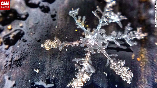 The cold snaps across the United States seem endless, but with each new snowfall, there's an opportunity to capture a new perspective on winter, just like what <a href='http://ift.tt/1b4YpfB'>Jeffrey Goodman</a> did when he photographed this snowflake outside his Mentor, Ohio, home. 