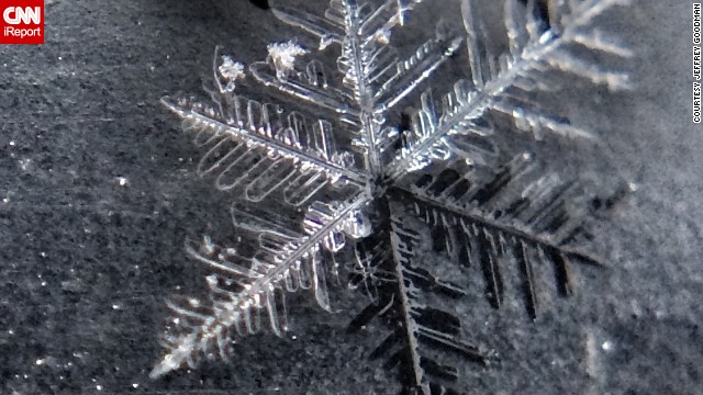 Goodman used his iPhone 5s and a macrolens attachment to photograph these delicate snowflakes.