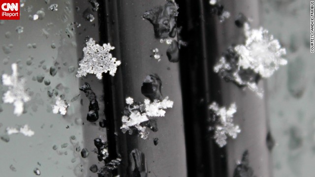 Nature photographer<a href='http://ift.tt/1fkkZp3'> Candice Trimble</a> spent one morning photographing snowflakes falling in her hometown of Front Royal, Virginia. 