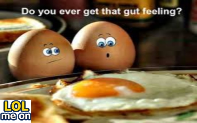 Do You Ever Get That Gut Feeling ? - Funny Pcture With Caption Funny pictures