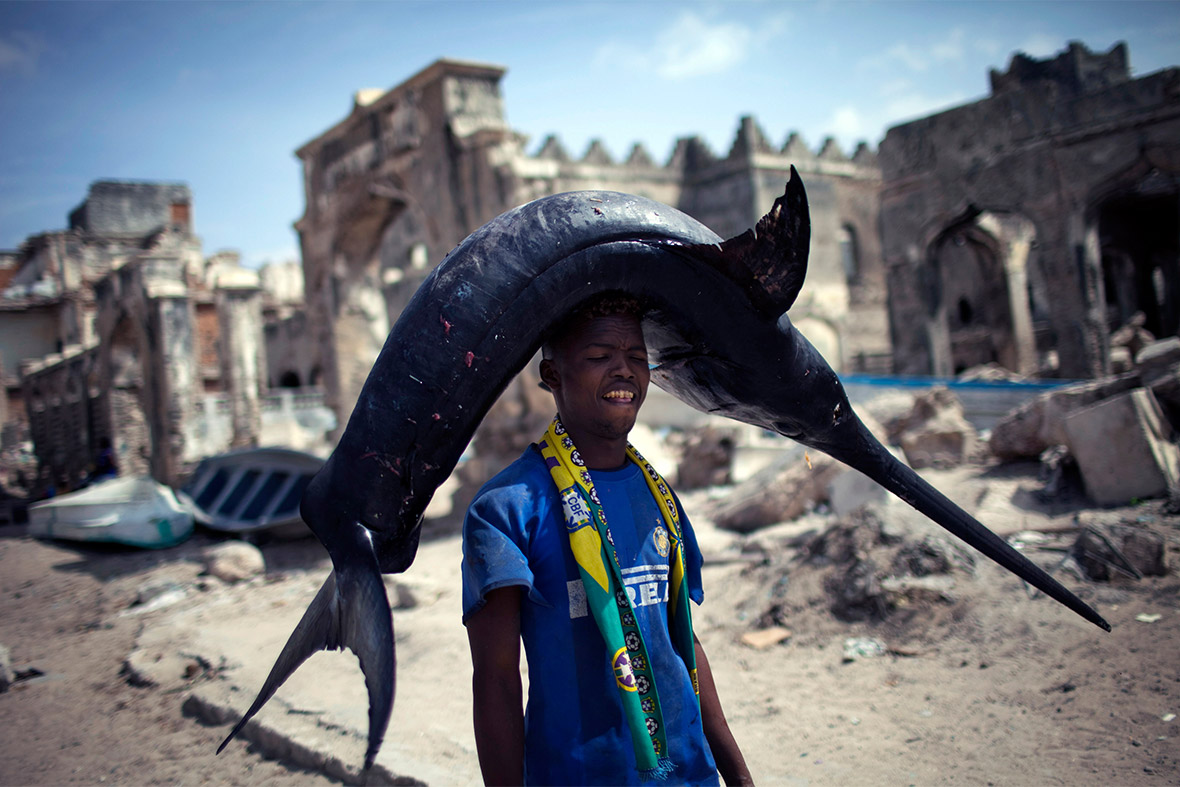 A Somali fisherman carries a swordfish from the port to the market in Mogadishu on February 11, 2014. Rising sea temperatures could lead to a mass migration of fish stocks, leading to critical food shortages in tropical regions