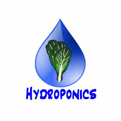Hydroponics slogan Blue Drop with Lettuce graphic Photo Sculpture