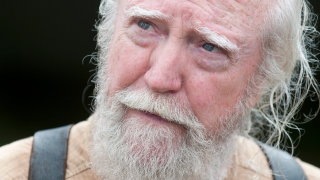 The death of the wise doctor, Hershel, during "The Walking Dead's" fourth season broke some hearts. 