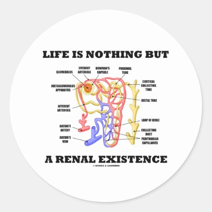 Life Is Nothing But A Renal Existence Stickers