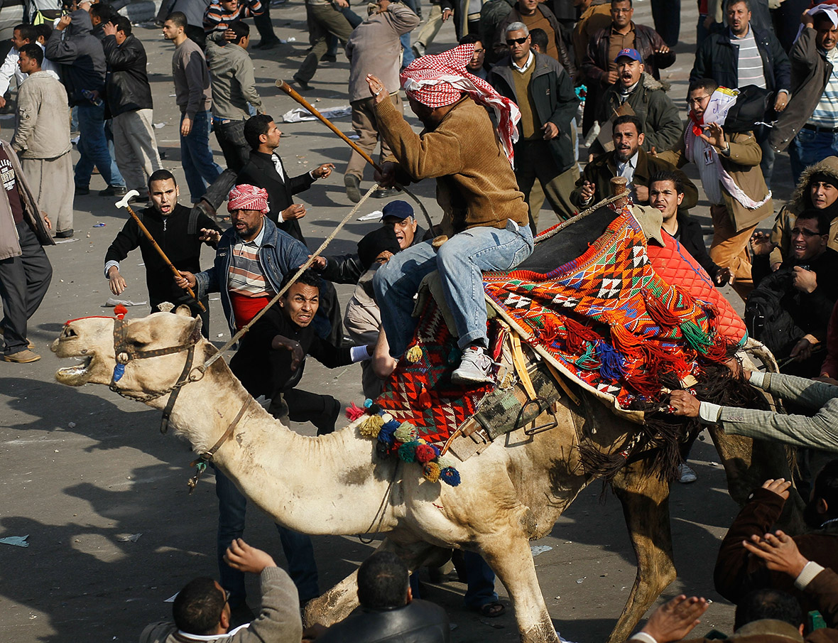 February 2, 2011: A supporter of embattled Egyptian president Hosni Mubarak rides a camel through the melee during a clash between pro- and anti-government protesters in Tahrir Square, Cairo