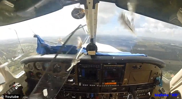 Chim đâm thủng cửa kính máy bay, lao thẳng vào mặt phi công