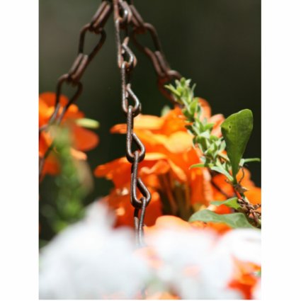 Orange flowers and rusted chain close up acrylic cut outs