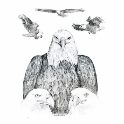 Bald Eagle Drawing Cut Out