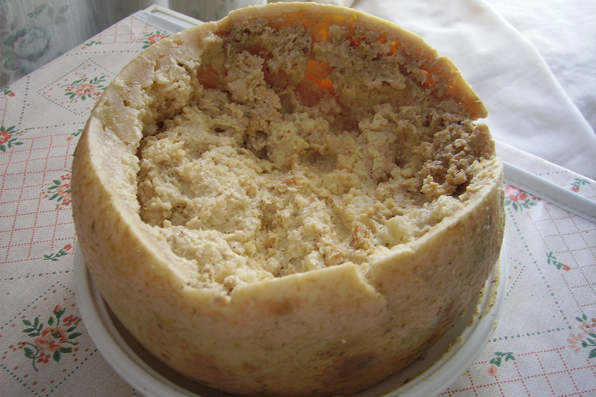 Casu marzu, or 'rotten cheese', is a traditional Sardinian sheep milk cheese, containing live maggots. The larvae of the cheese fly Piophila casei break down the fats, resulting in a soft cheese with some liquid named lagrima, or 'tears', seeping out