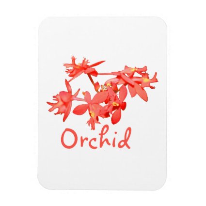 Flowers Salmon Tinted Text Ground Orchid Vinyl Magnet
