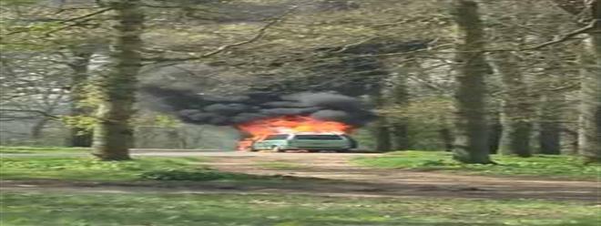 فيديو : أسد يحتجز أسرة داخل سيارة تحترق