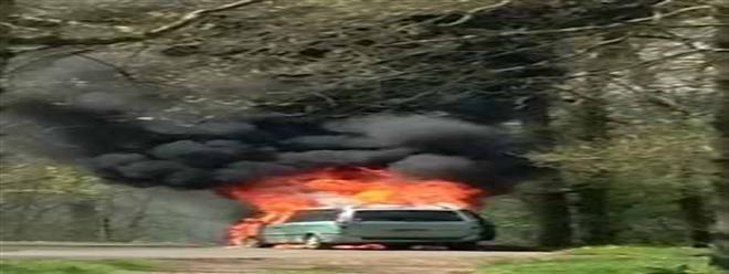 فيديو : أسد يحتجز أسرة داخل سيارة تحترق