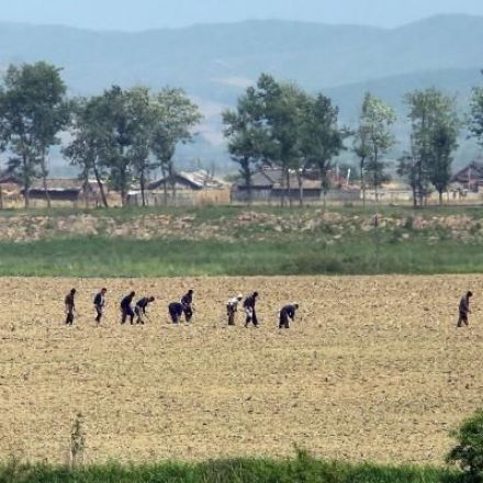 North Korea's slave labor force is growing, U.N. special rapporteur says