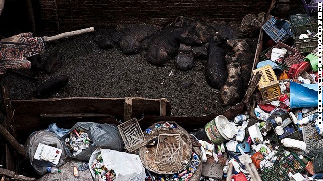 Dirt-blackened pigs in a sty surrounded by garbage in Cairo's Garbage Cities are shown in this image by photographer Sandro Maddalena. The photograph won the Politics of Food category.