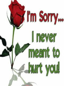 I_Am_Sorry_Red_Rose-whatsapp-dp