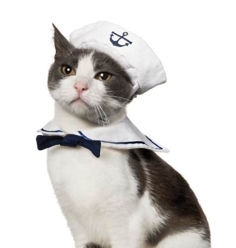 Sailor-Cat-Costume