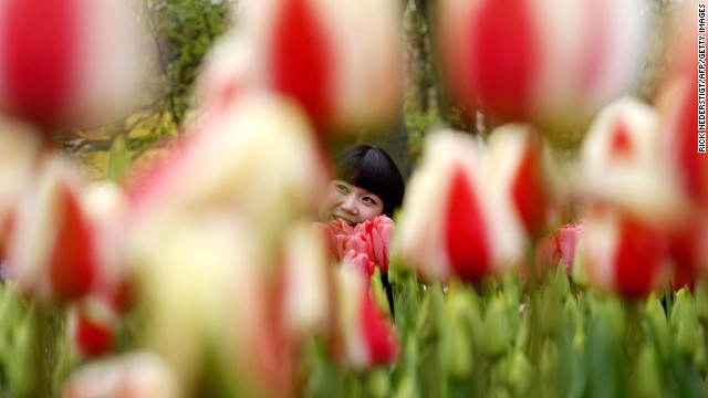 The fourth-happiest country is the <strong>Netherlands</strong>, where you can enjoy the flowers at the <a href='http://ift.tt/UfzaON' target='_blank'>Keukenhof gardens</a>. You'll find long fields of tulips throughout the region.