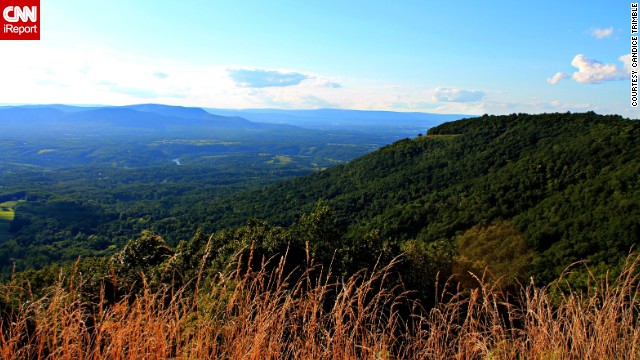 <a href='http://ift.tt/1gQ5dDN' target='_blank'>Shenandoah National Park</a> in Virginia contains 101 miles of the Appalachian Trail and is home to a variety of wildlife such as deer, black bears and wild turkeys. Nature photographer <a href='http://ift.tt/1jdHn3r'>Candice Trimble</a> spends a lot of time at this park because of all there is to see and experience. 