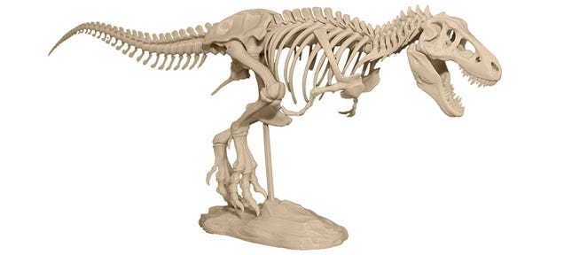 Start Your Own Private Museum With a 3D Printer and This T-Rex Model