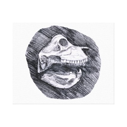 Skull drawing imaginary animal sketch canvas prints