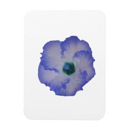 Blue tinted hibiscus flower vinyl magnet