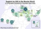 Support for ISIS in the Muslim World [627 x 449][OC]