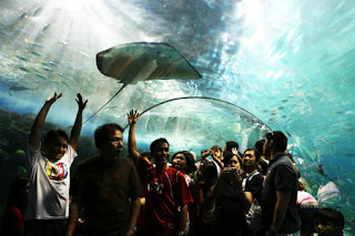 رحلة حديقة مانيلا أوشن بارك(السياحة manila_ocean_park_ourparadisephilippines.jpg