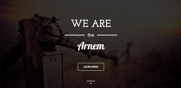 Arnem---Creative-One-Page-Parallax-Wordpress-Theme