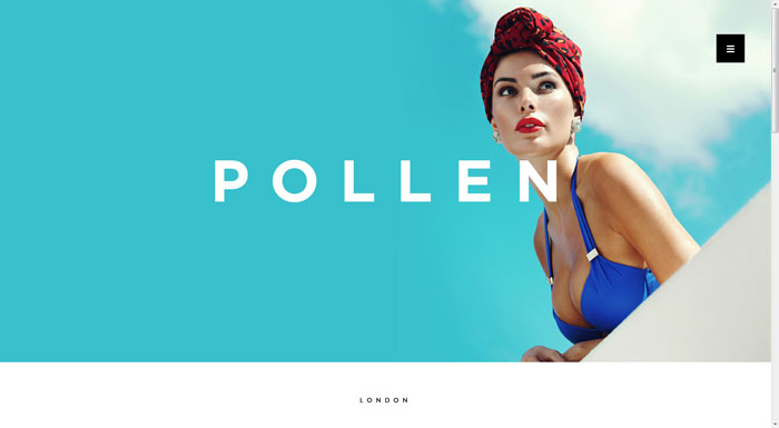 pollenlondon.com 