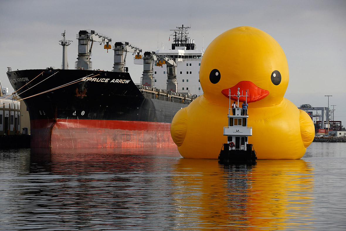 A giant inflatable rubber duck installation by Dutch artist Florentijn Hofman floats through the Port of Los Angeles as part of the Tall Ships Festival, in San Pedro, California
