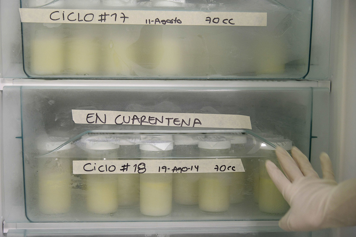 Bottles of human breast milk are pasteurised at the general hospital in Medellin, Antioquia department, Colombia. The region's first Human Milk Bank opened recently, with the aim of reducing the mortality rate in premature infants