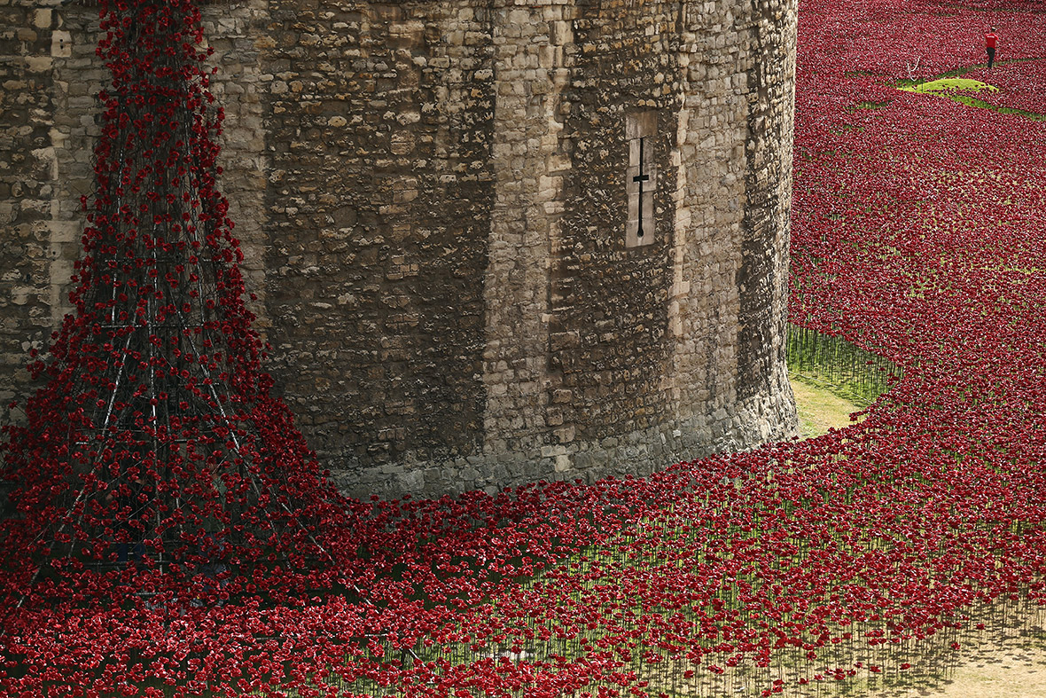 Volunteers continue to assemble an installation entitled 'Blood Swept Lands and Seas of Red' by artist Paul Cummins, made up of 888,246 ceramic poppies in the moat of the Tower of London, to commemorate the First World War