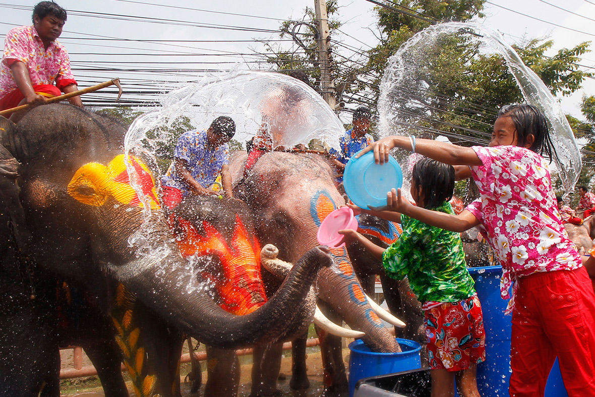 Children splash elephants with water...