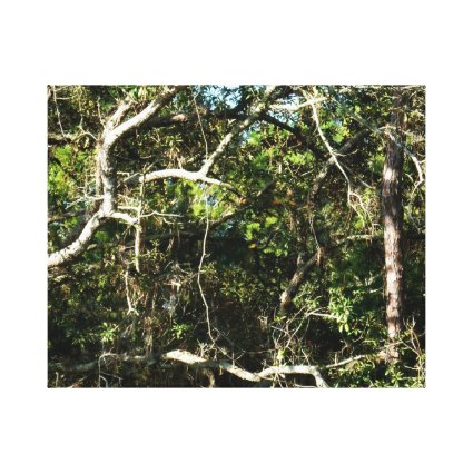 crazy tree limbs nature photo image gallery wrapped canvas