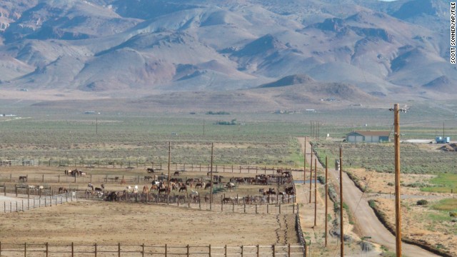 Horses stand behind a fence at the U.S. Bureau of Land Management's Palomino Valley holding facility in Reno, Nevada, on June 5, 2013. More than 80% of the land in Nevada is federally owned.