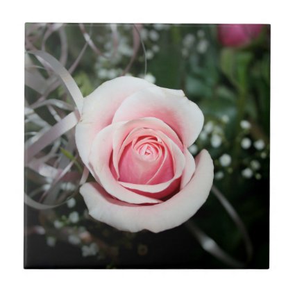 pink rose with ribbon close up flower ceramic tiles