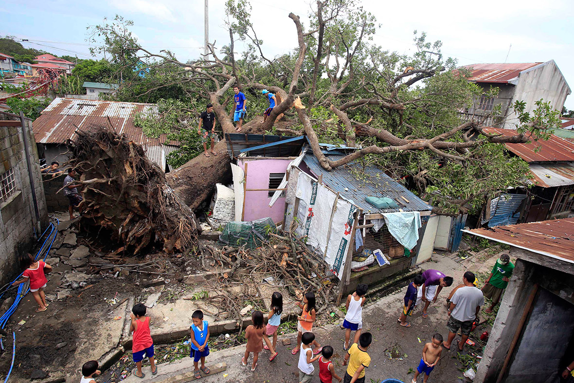 Residents look at a fallen tree which damaged four houses after Typhoon Rammasun (locally named Glenda) battered the town of Rosario, Cavite city, south of Manila.